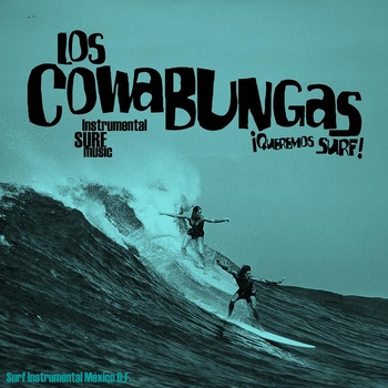 Low Cowabungas
