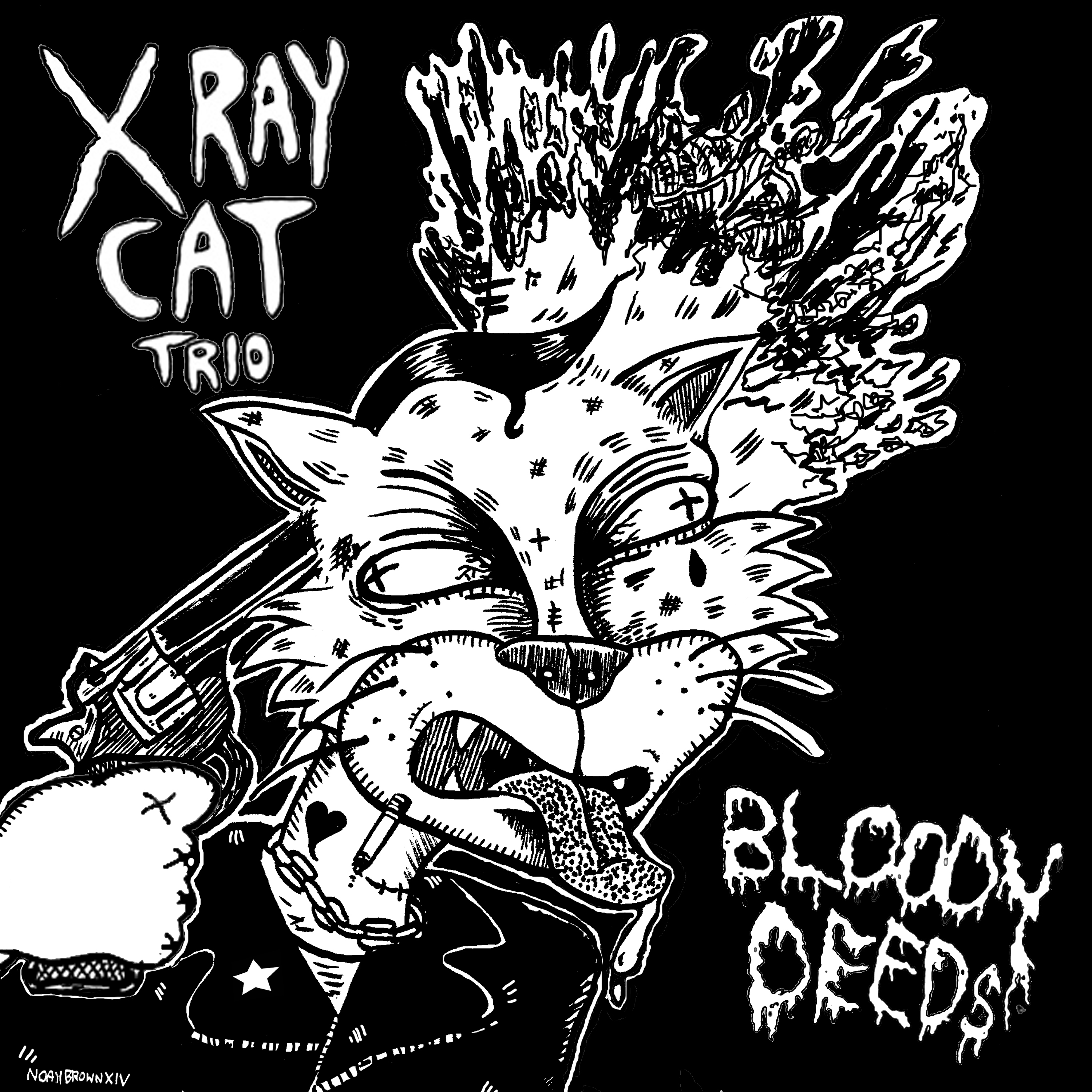 x ray cat trio